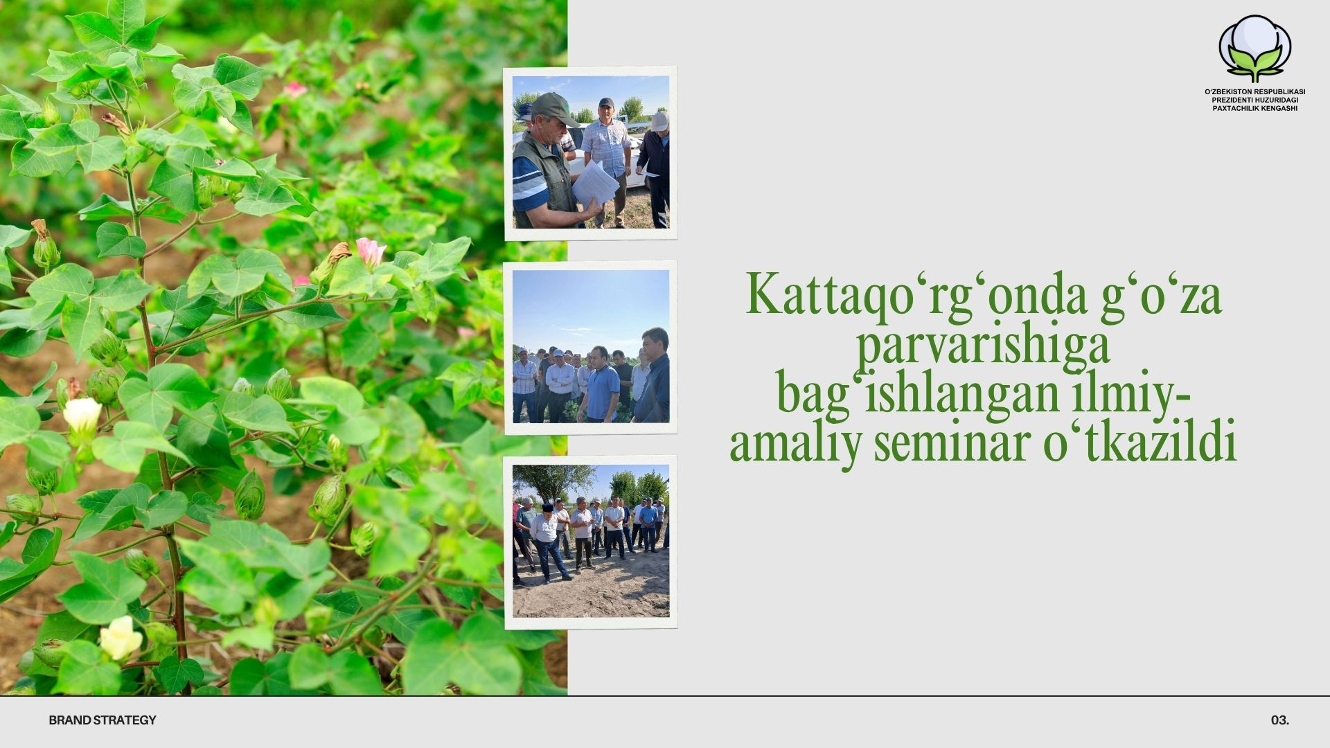 article title