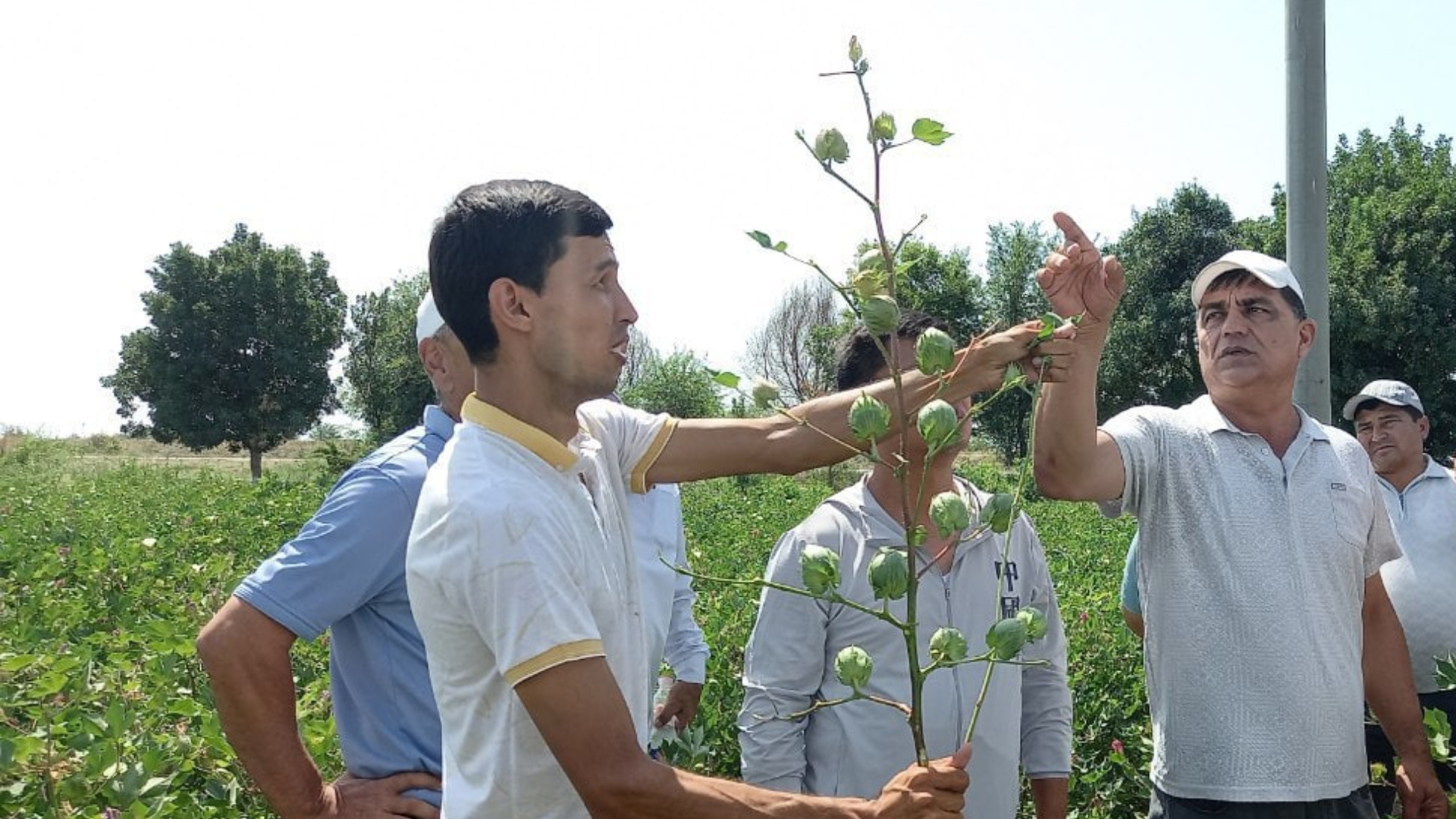 Ombordagi ahmoq porno