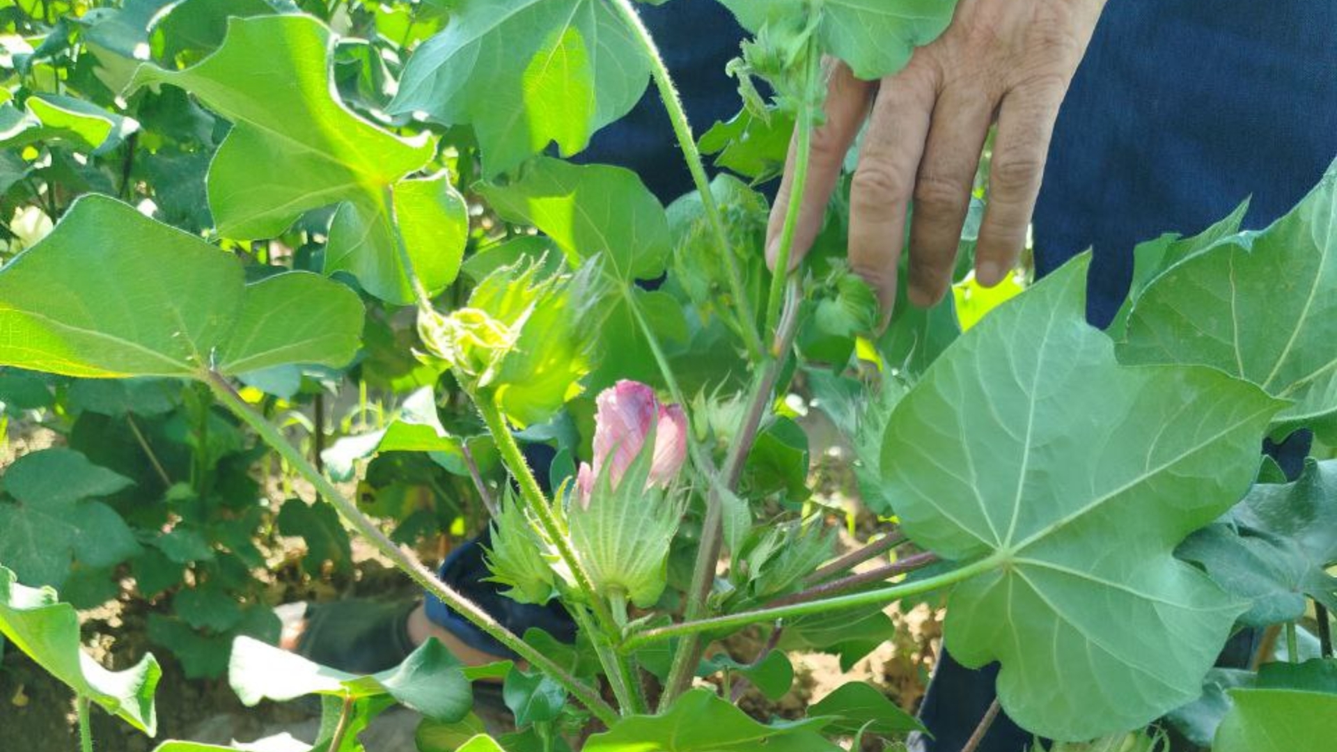 Qiz dostimni uning oldida sikish (onlayn tomosha) Talabaning minatkasini tomosha qiling