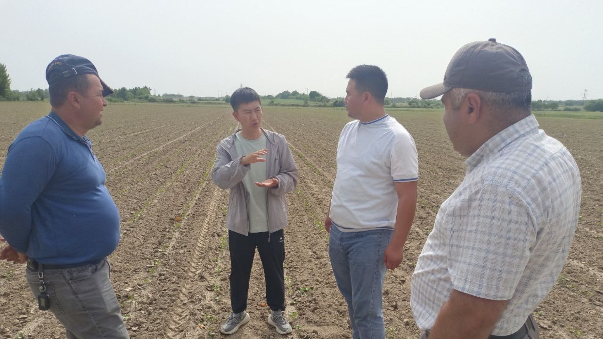 Chiqib ketgan pubik sochlarning fotosurati