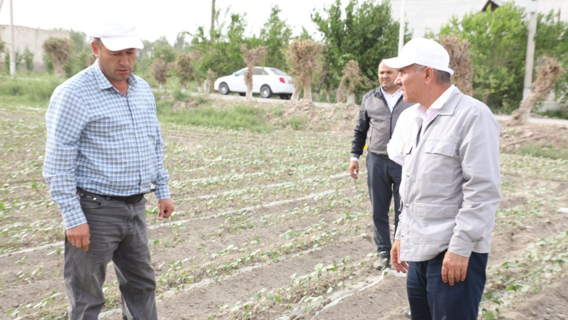 Ufada fohisha toping